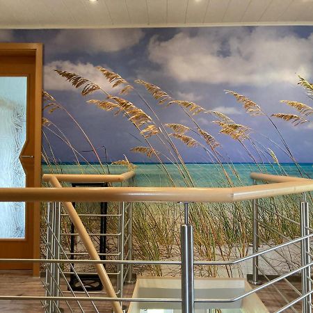 Ferienwohnung Ostseestrandlaeufer 2 Zingst Eksteriør bilde